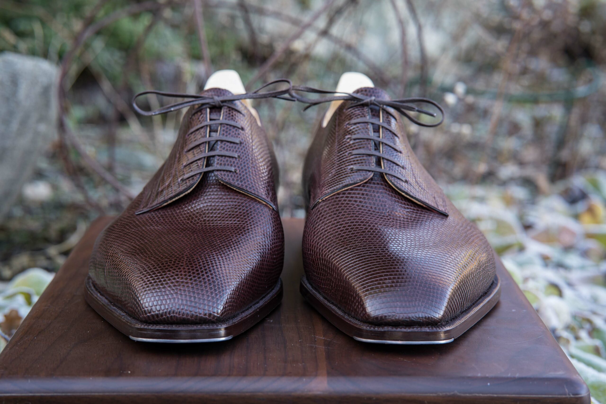 AVVENTURA Handmade Karmelo Lizard Oxford Shoes Picture special - Calzoleria Carlino lizard derby  main image 3